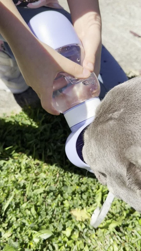 Puppy Drinking from CloudPaw Cloud Bowl
