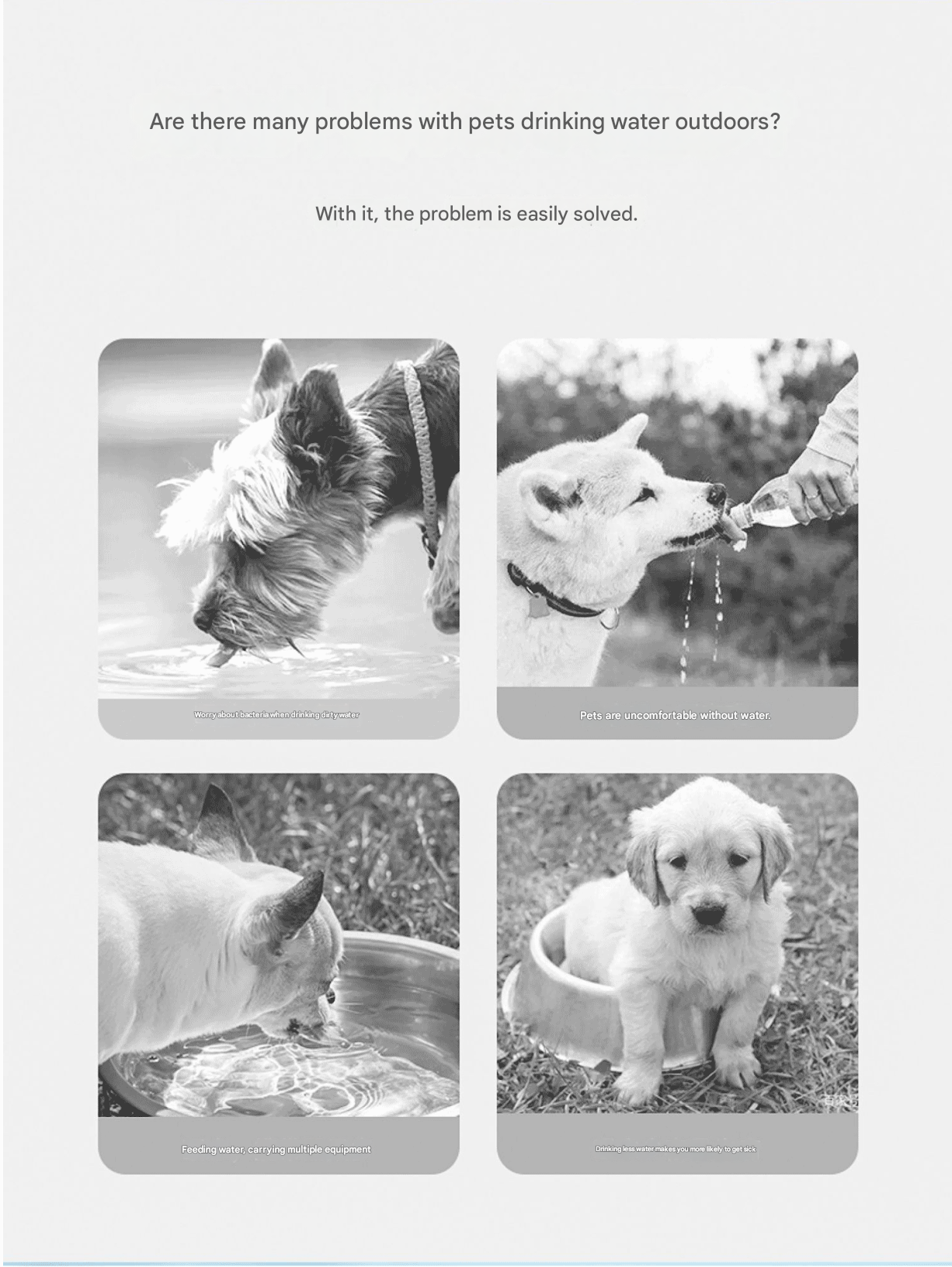 White 600ml Portable Dog Water Bottle  - Leak-Proof Pet Travel Water Dispenser, Cloud-Shaped Drinking Bowl, Twist-to-Dispense Design, BPA-Free HIPS/PET Material for Walking Hiking Travel