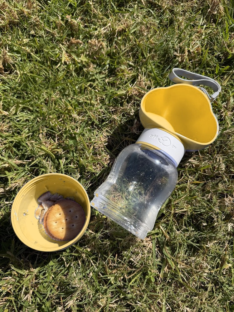 Yellow treat pod on grass